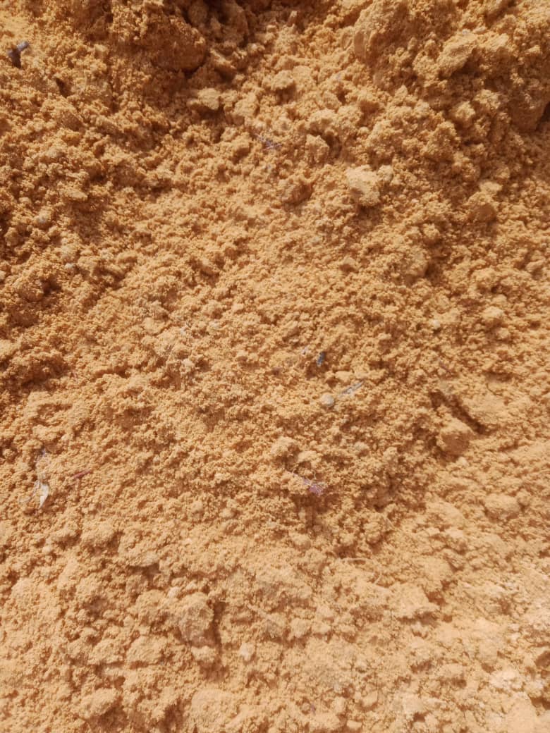 Le sable silteux (ou limoneux)